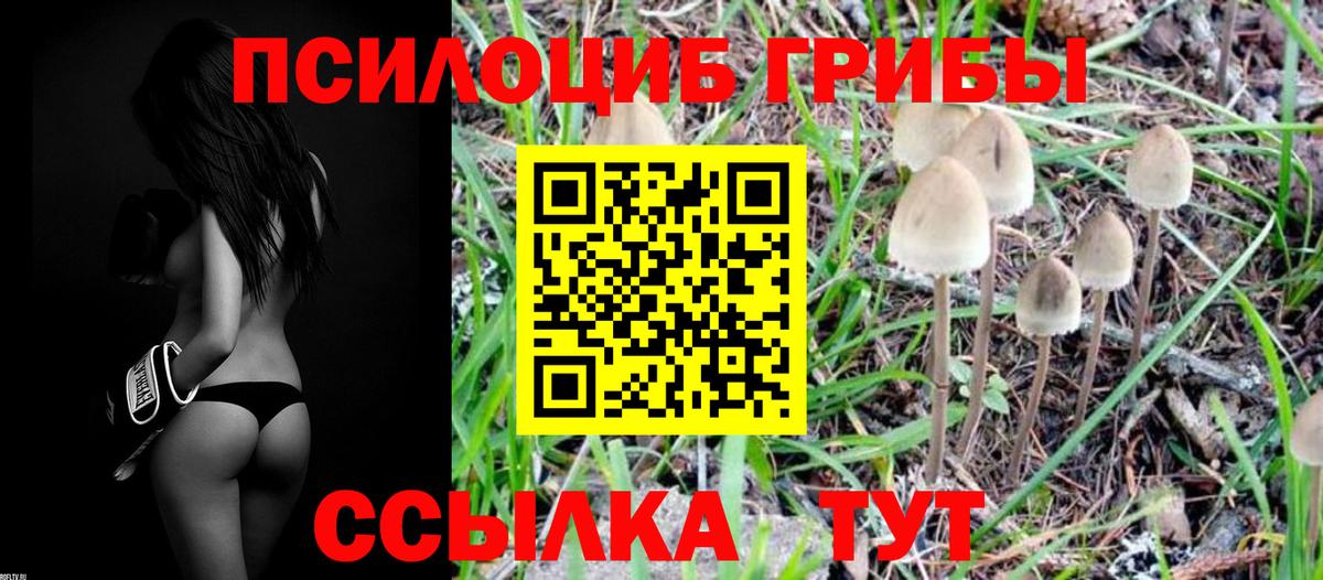 Псилоцибиновые грибы ЛСД Томск